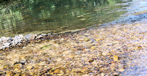 Ferguson Spring