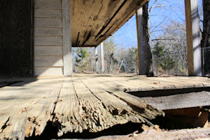 Cleo Griffin Home