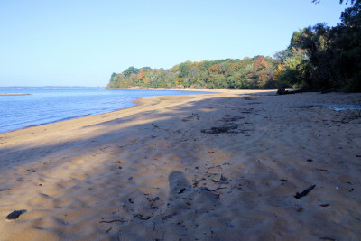 The Sands